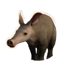 Aardvark in Planet Zoo 2
