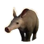 Aardvark in Planet Zoo 2