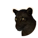 Melanistic African Leopard colour morph in Planet Zoo 2