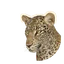 African Leopard in Planet Zoo 2