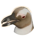 Part Leucistic African Penguin colour morph in Planet Zoo 2
