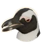 African Penguin in Planet Zoo 2