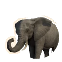 African Savannah Elephant in Planet Zoo 2