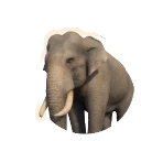 Asian Elephant in Planet Zoo 2