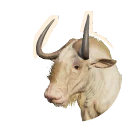 Albino Black Wildebeest colour morph in Planet Zoo 2