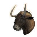 Black Wildebeest in Planet Zoo 2