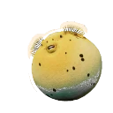 Yellow Morph Blackspotted Puffer colour morph in Planet Zoo 2