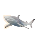Leucistic Blacktip Reef Shark colour morph in Planet Zoo 2