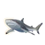 Blacktip Reef Shark in Planet Zoo 2