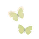 Cloudless Sulphur in Planet Zoo 2