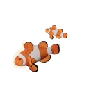 Clown Anemonefish in Planet Zoo 2