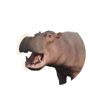 Common Hippopotamus in Planet Zoo 2
