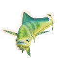 Dolphinfish in Planet Zoo 2