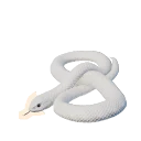 Albino Eastern Brown Snake colour morph in Planet Zoo 2