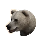 Leucistic Eurasian Brown Bear colour morph in Planet Zoo 2