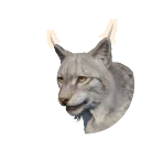 Leucistic Eurasian Lynx colour morph in Planet Zoo 2