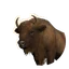 European Bison in Planet Zoo 2
