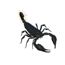 Giant Forest Scorpion in Planet Zoo 2