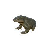 Giant Slippery Frog in Planet Zoo 2