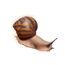 Giant Tiger Land Snail in Planet Zoo 2