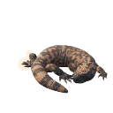 Gila Monster in Planet Zoo 2