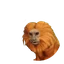 Golden Lion Tamarin in Planet Zoo 2