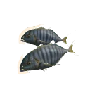 Golden Trevally in Planet Zoo 2