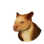 Goodfellow's Tree-Kangaroo in Planet Zoo 2