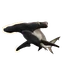 Great Hammerhead in Planet Zoo 2
