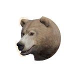 Grizzly Bear in Planet Zoo 2