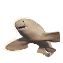 Albino Indo-Pacific Leopard Shark colour morph in Planet Zoo 2