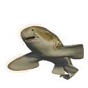 Darker Variation Indo-Pacific Leopard Shark colour morph in Planet Zoo 2