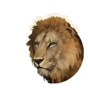 Darker Variation Lion colour morph in Planet Zoo 2