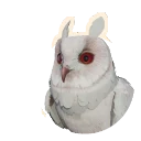 Albino Long-Eared Owl colour morph in Planet Zoo 2