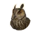 Long-Eared Owl in Planet Zoo 2
