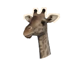 Leucistic Masai Giraffe colour morph in Planet Zoo 2