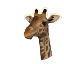 Masai Giraffe in Planet Zoo 2