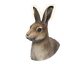 Mountain Hare in Planet Zoo 2