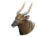 Piebald Nyala colour morph in Planet Zoo 2