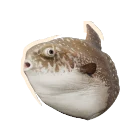 Ocean Sunfish in Planet Zoo 2