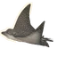 Ocellated Eagle Ray in Planet Zoo 2