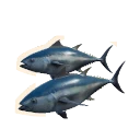 Pacific Bluefin Tuna in Planet Zoo 2