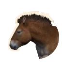 Przewalski's Horse in Planet Zoo 2