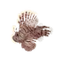 Red Lionfish in Planet Zoo 2