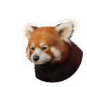 Red Panda in Planet Zoo 2