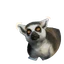Ring-Tailed Lemur in Planet Zoo 2