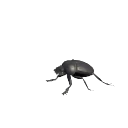 Sacred Scarab Beetle in Planet Zoo 2