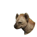 Spotted Hyena in Planet Zoo 2