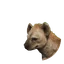 Spotted Hyena in Planet Zoo 2