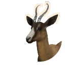 Copper Morph Springbok colour morph in Planet Zoo 2